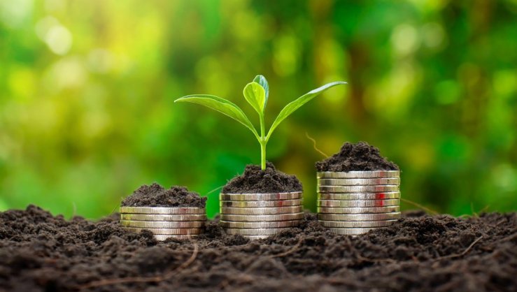 NEWS! I am an ICF Associate Certified Coach